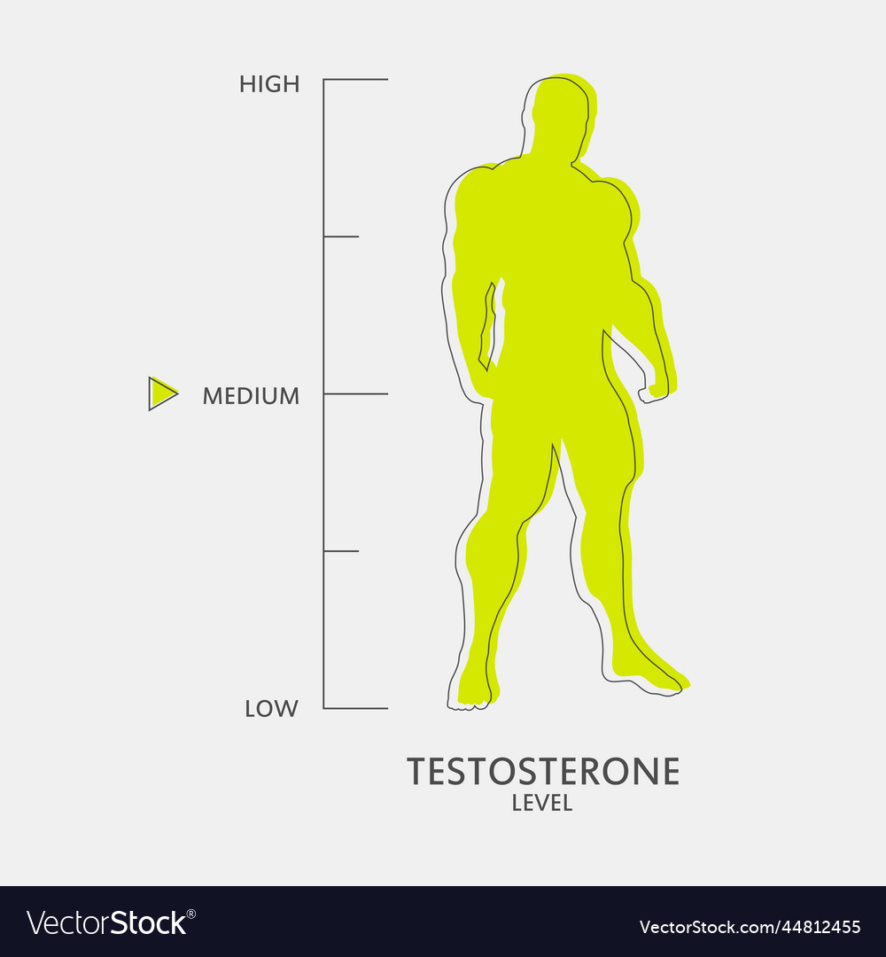 Hormone Testosterone Level Measuring Scale Vector Image