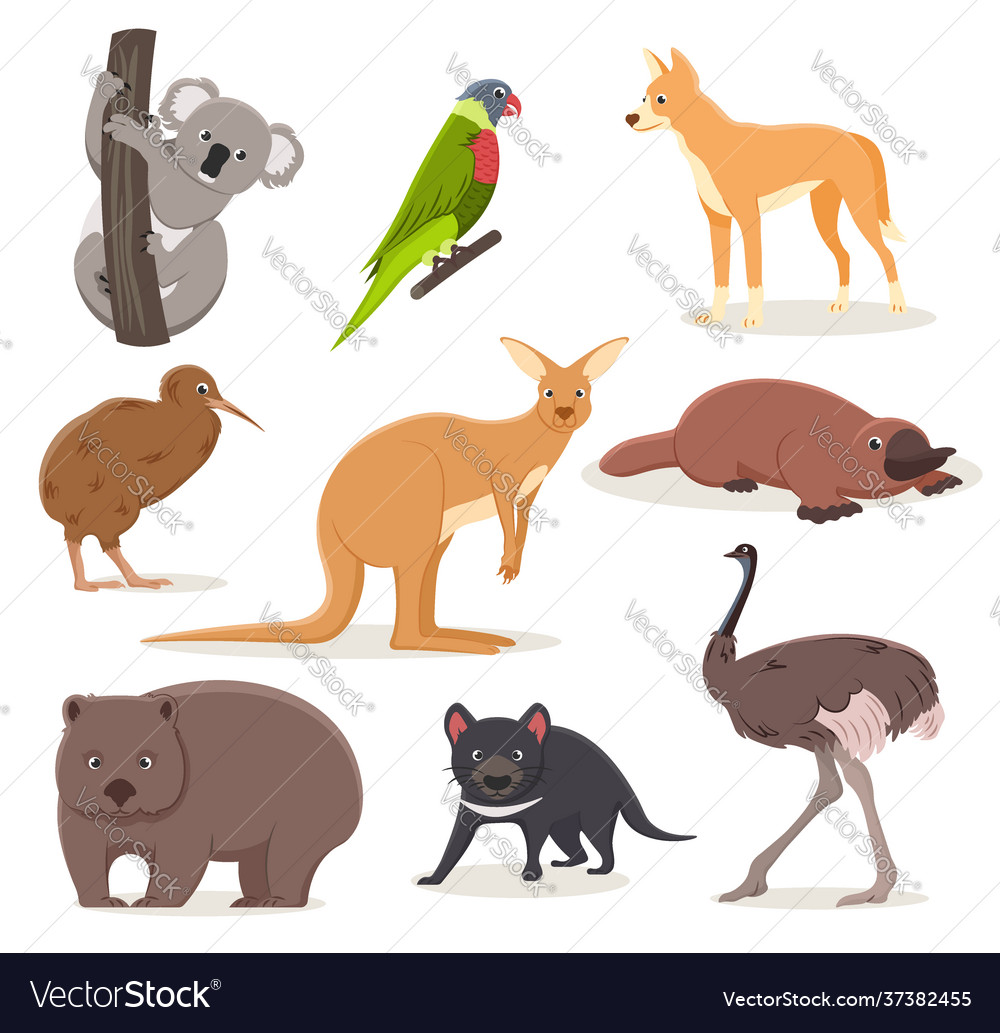 Set funny cartoon australian animals - emu Vector Image Set funny cartoon australian animals - emu Vector Image
