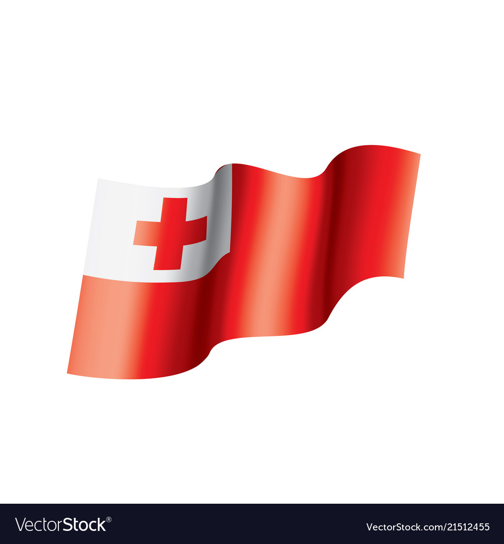 tonga flag royalty free vector image vectorstock