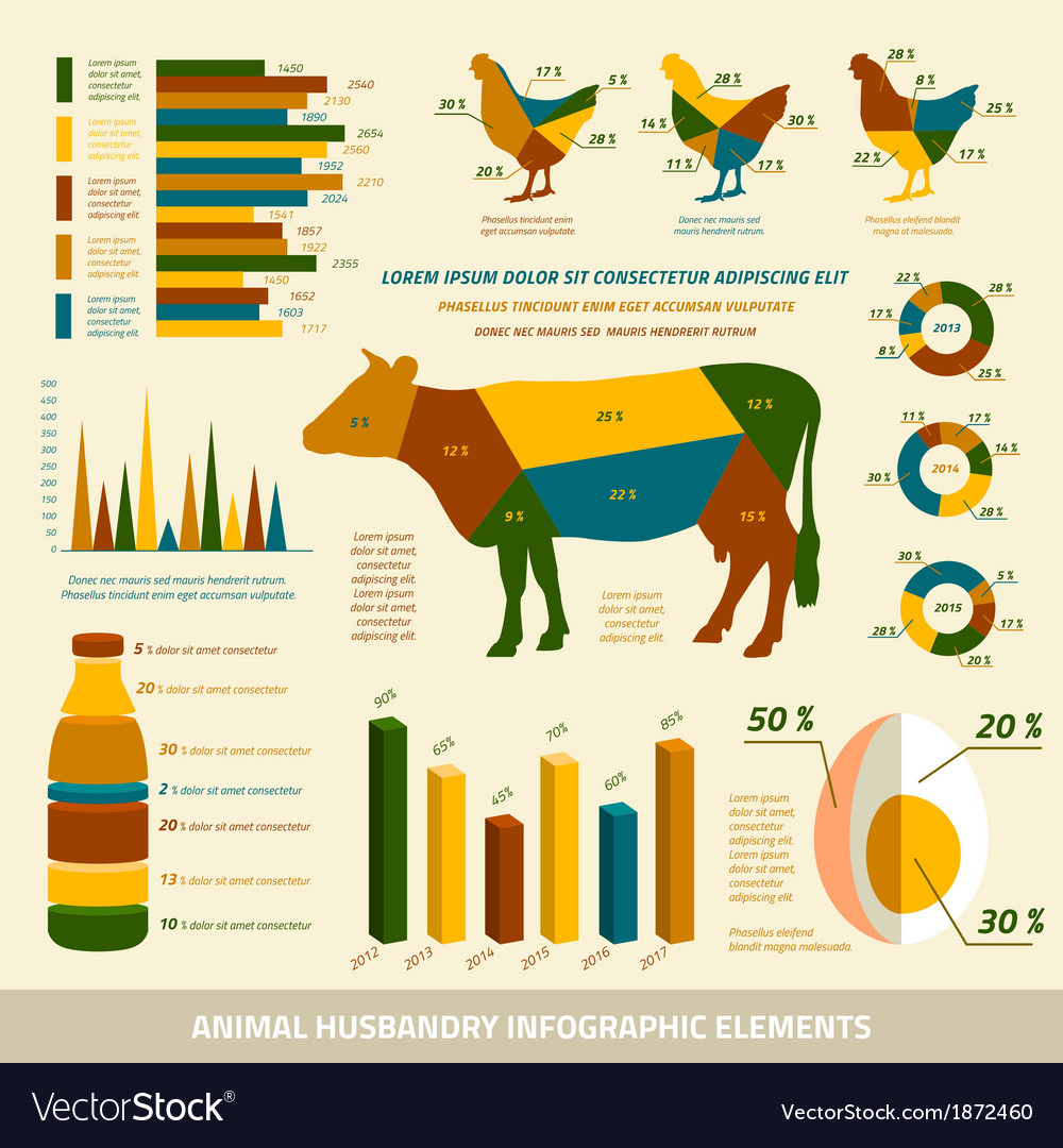 Animal Infographic