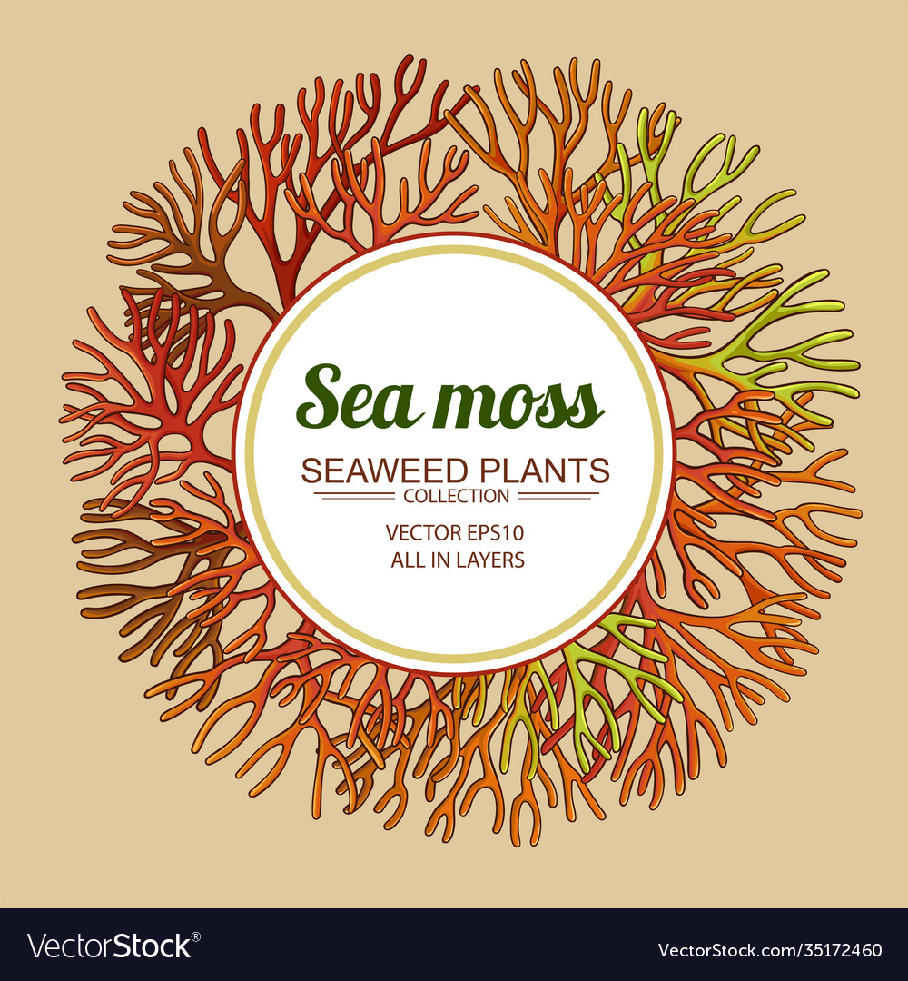 Vector mos. Vector mos. мох рамка вектор x,. Vector mos. Vector mos.