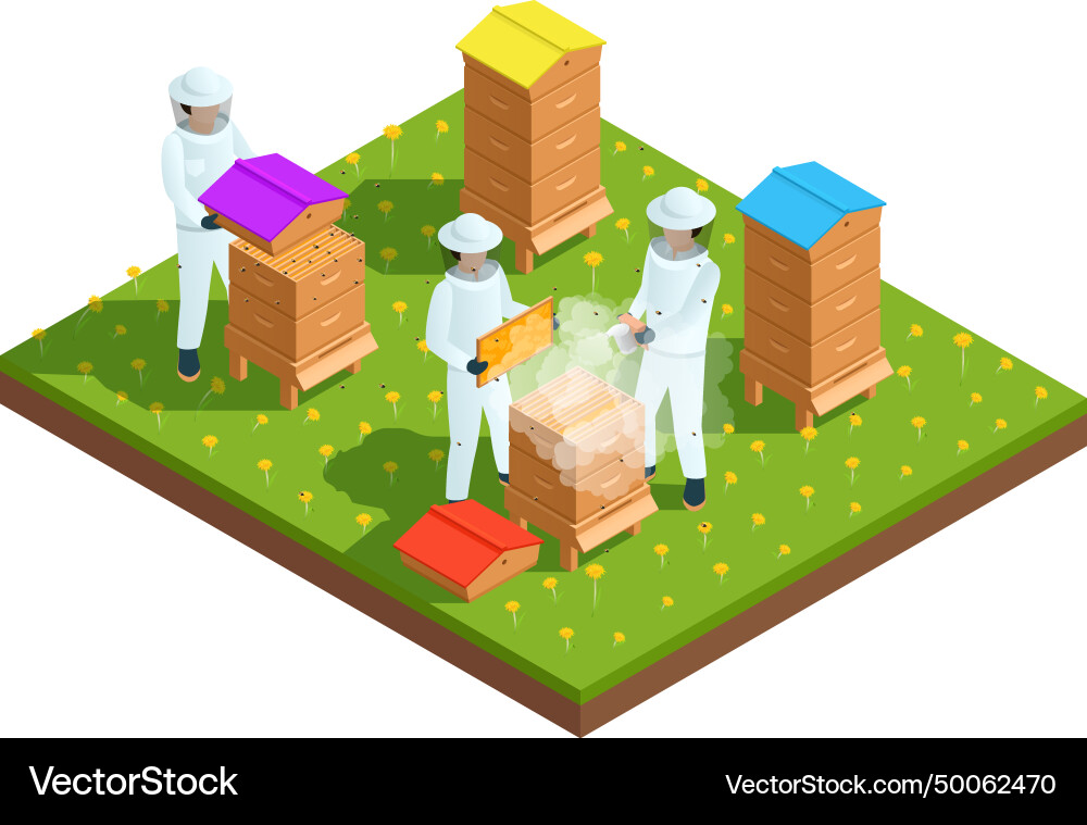 Beekeeping apiary isometric composition Royalty Free Vector