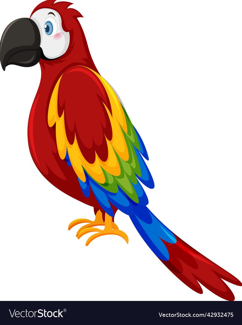 Parrot bird in cartoon style Royalty Free Vector Image