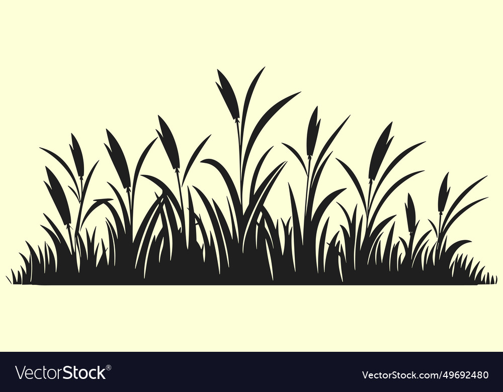 Corn plantation of sweet Royalty Free Vector Image