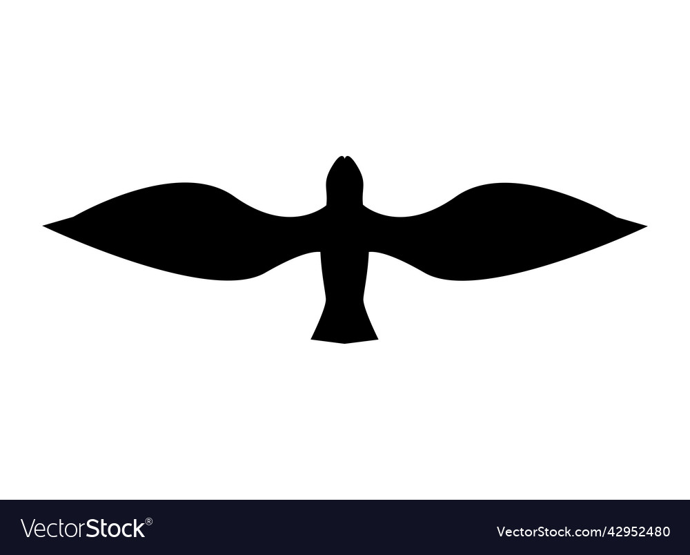 Seagull flying silhouette Royalty Free Vector Image