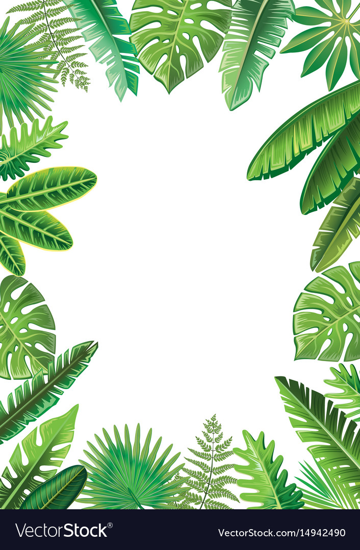 Tropical Border Vector