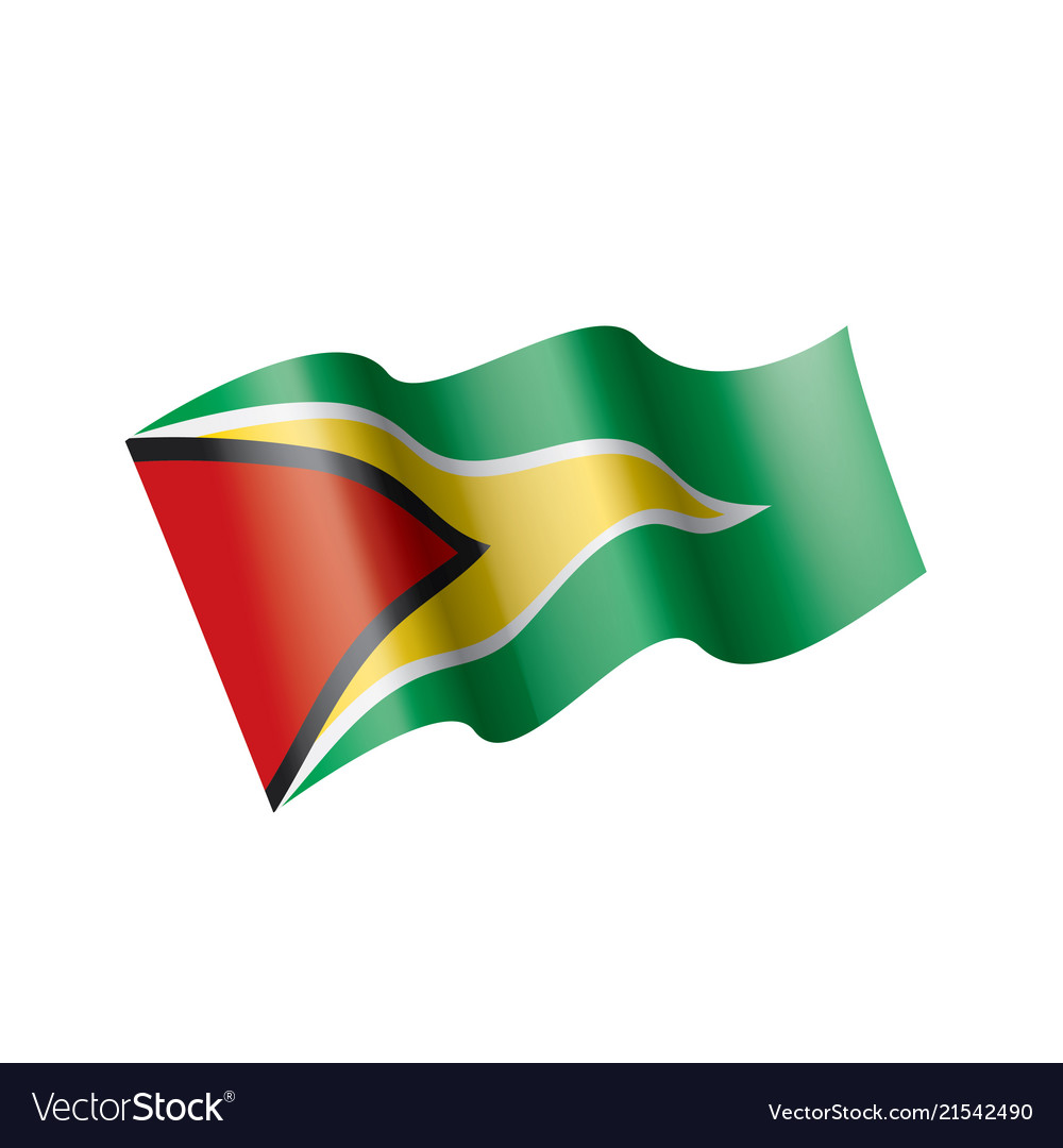 Guyana flag on a white Royalty Free Vector Image