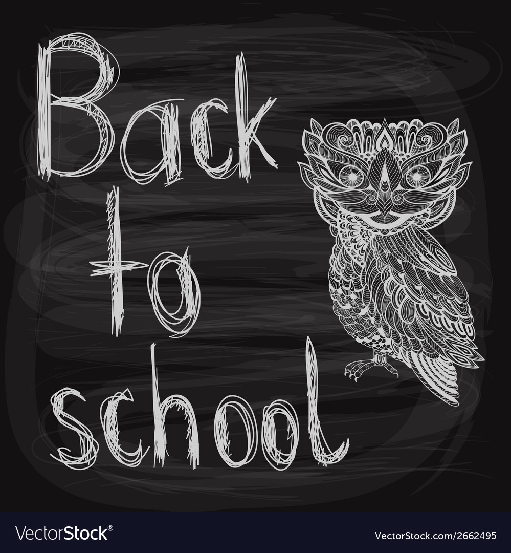 Back to school chalk drawn background