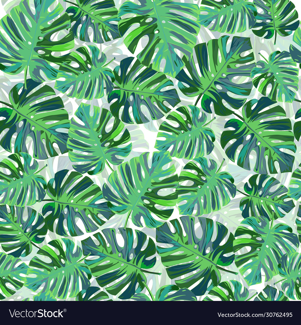 Exotic tropical pattern with monstera leaves Vector Image