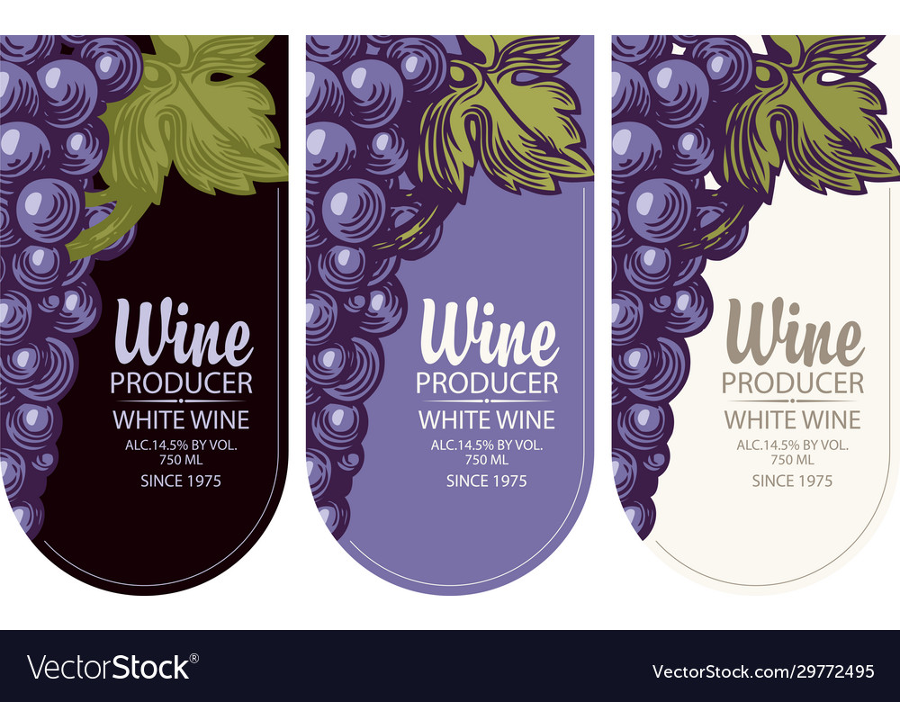 Set wine labels with grapes Royalty Free Vector Image