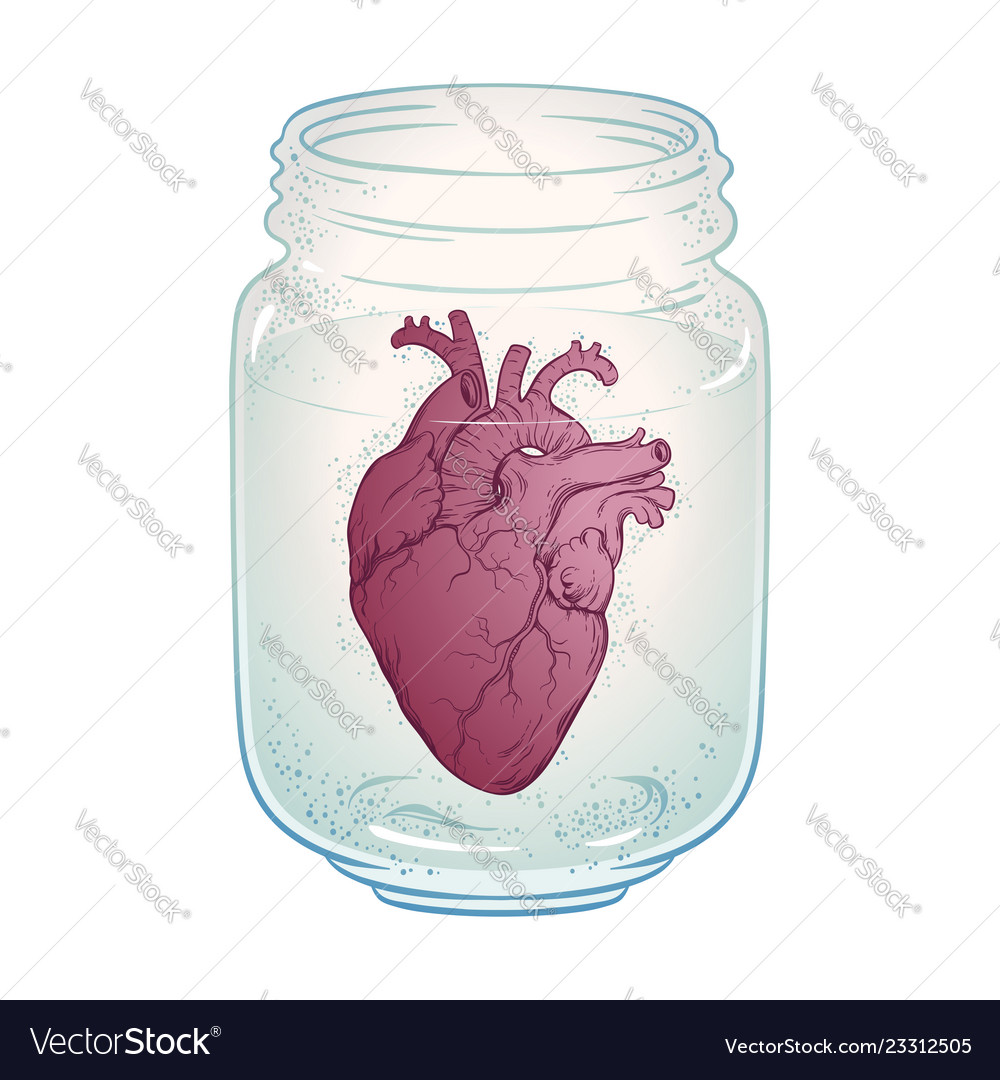Human heart in glass jar isolated sticker print Vector Image
