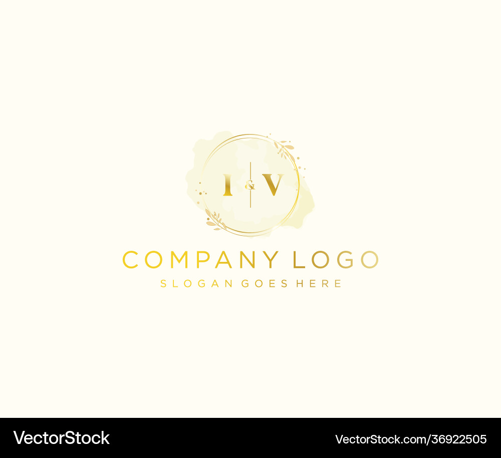 Initial iv letters colorful watercolor splash Vector Image