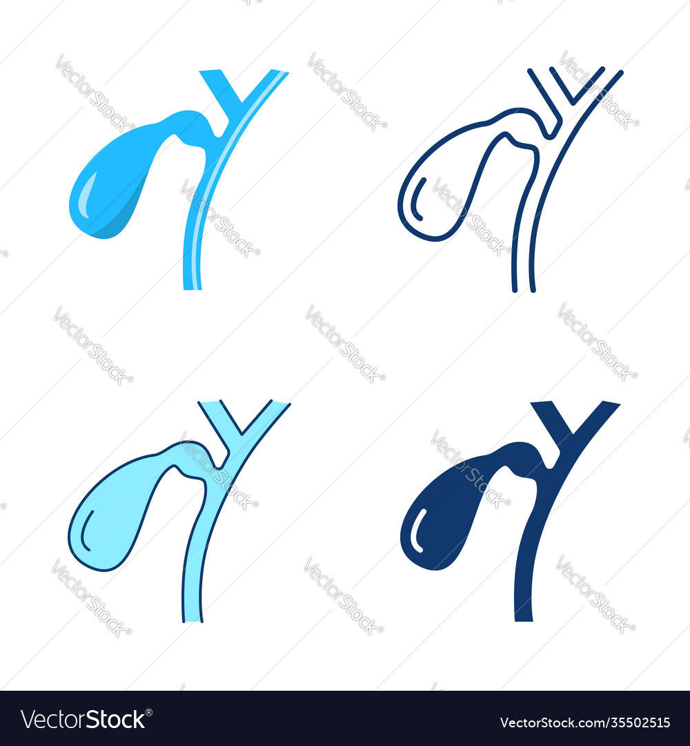 Gallbladder icon set in flat and line style Vector Image