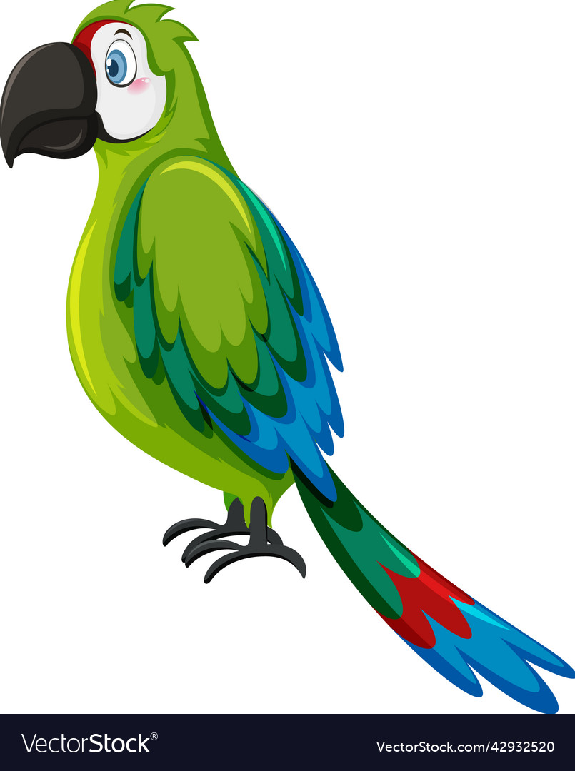 Parrot bird in cartoon style Royalty Free Vector Image