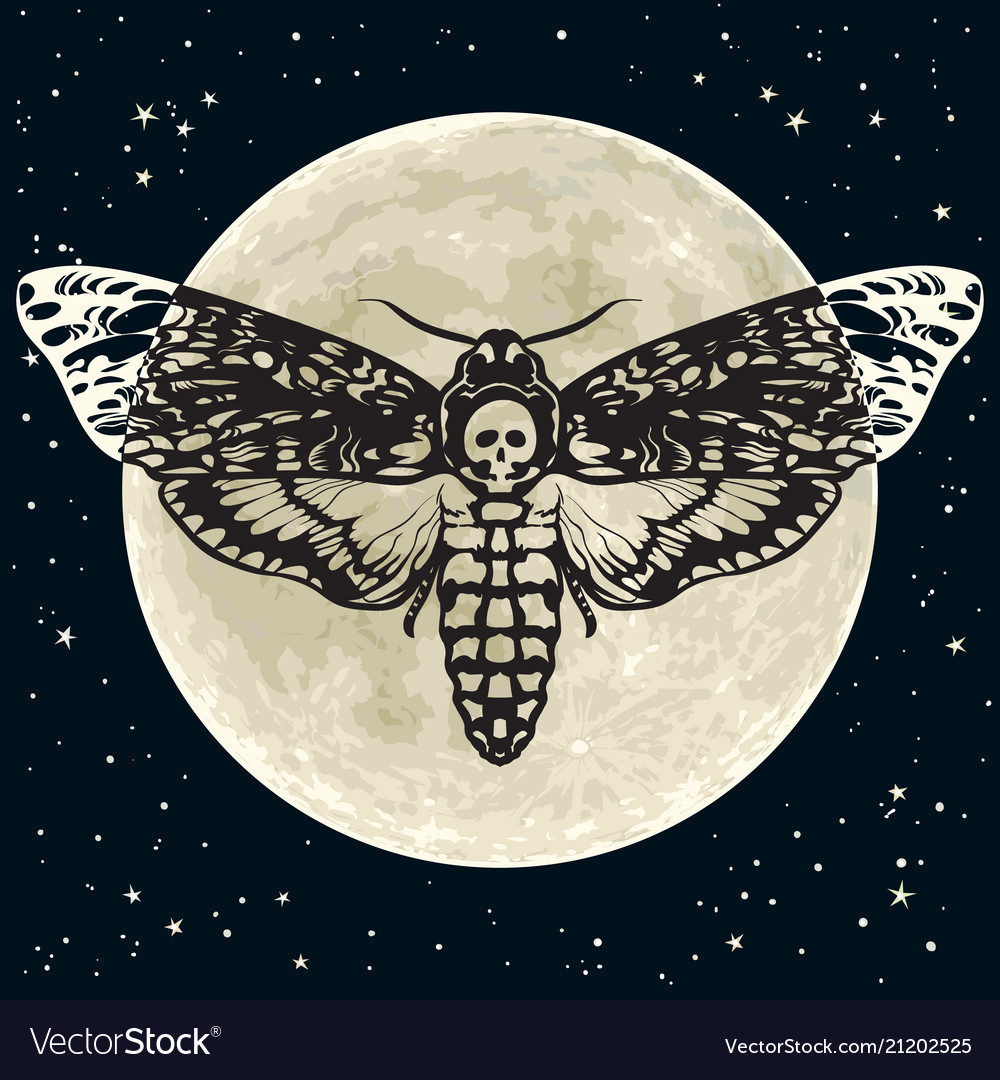 Deaths Hawk Head Vector Images 76