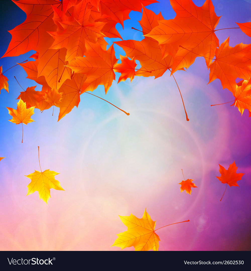 Beautiful autumn leaves Royalty Free Vector Image Beautiful autumn leaves Royalty Free Vector Image