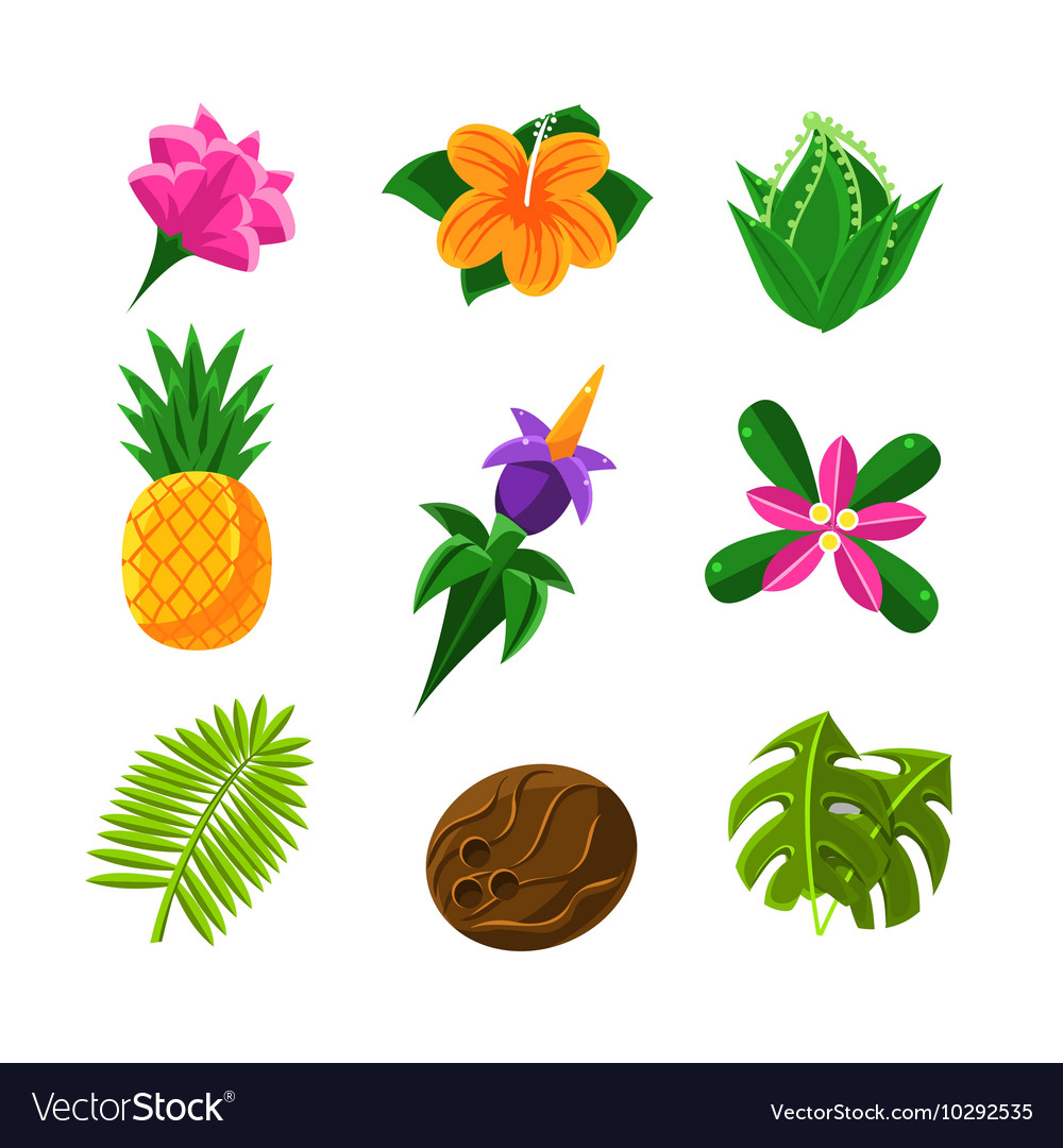 Tropical exotic fruits and flora set of icons