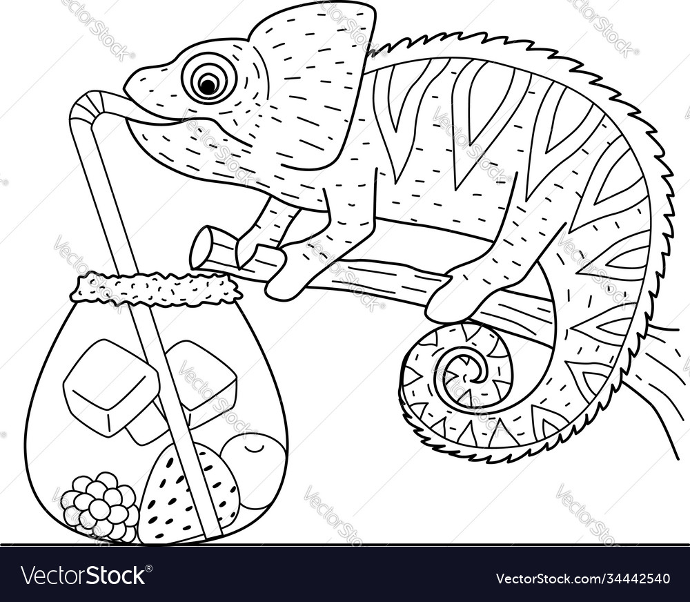 Chameleon Royalty Free Vector Image - VectorStock