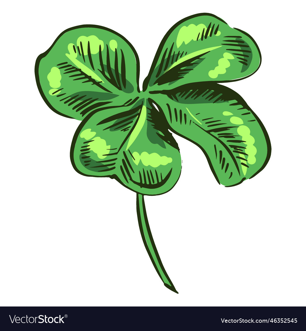 Awesome clover leaf drawing Royalty Free Vector Image