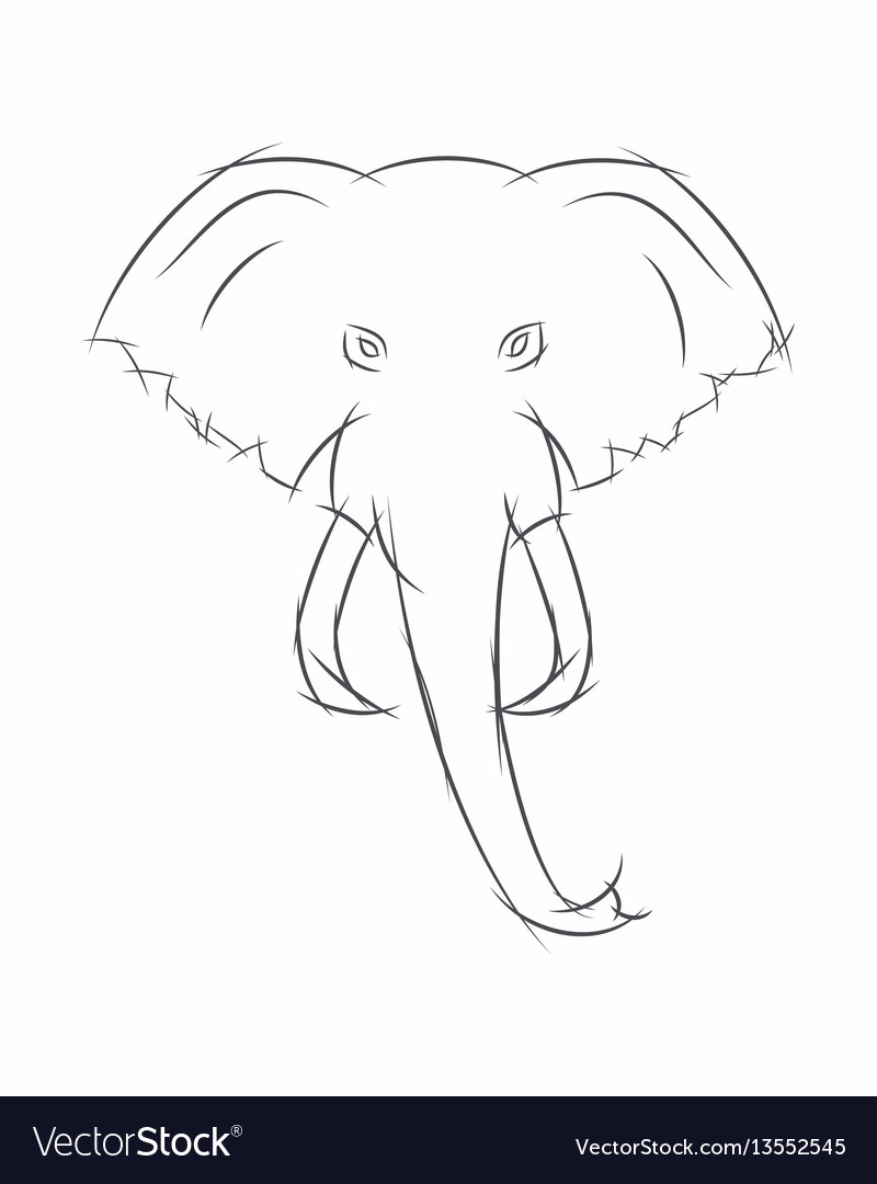 Elephant head front view this sketch may be used Vector Image