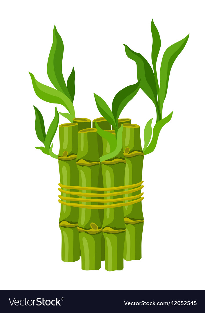 Green bamboo stems and leaves Royalty Free Vector Image