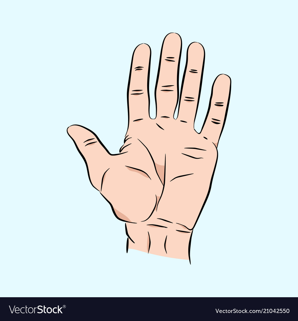 Hand with five fingers cartoon ounting man Vector Image