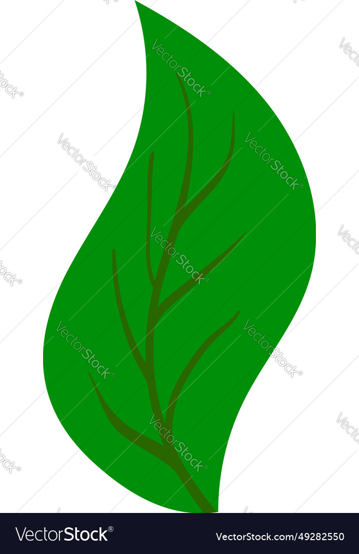 Tree leaf Royalty Free Vector Image - VectorStock