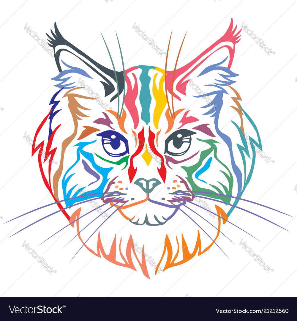 Maine coon cat icon, flat style 14208397 Vector Art at Vecteezy