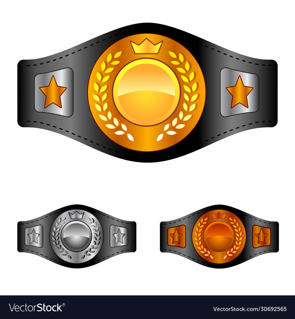 Champion belt box award sport icon flat web sign Vector Image