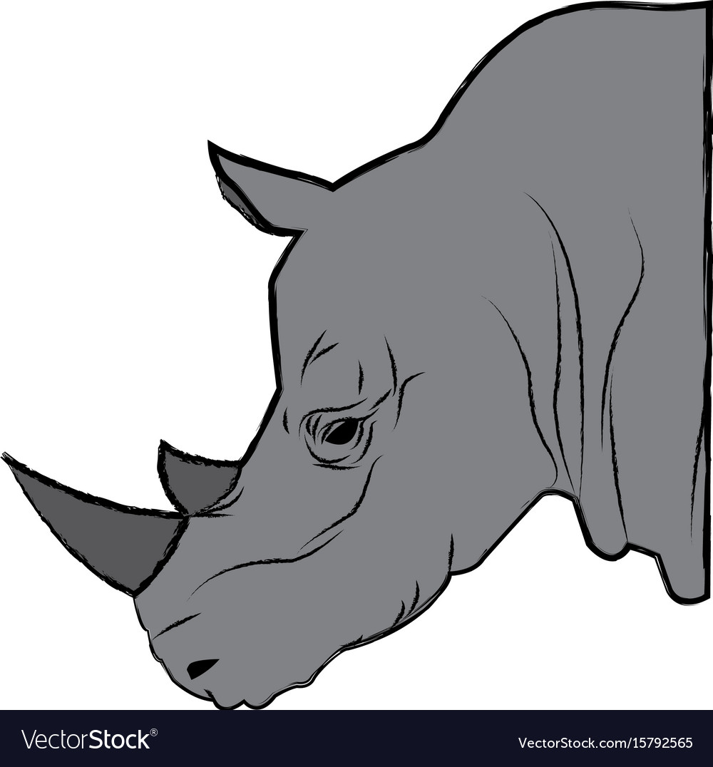 Head rhino wild animal africa exotic mammal Vector Image