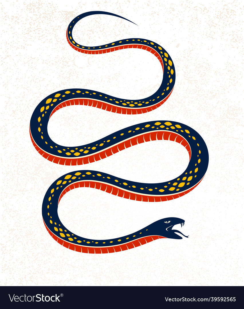 Venomous snake vintage tattoo drawing Royalty Free Vector