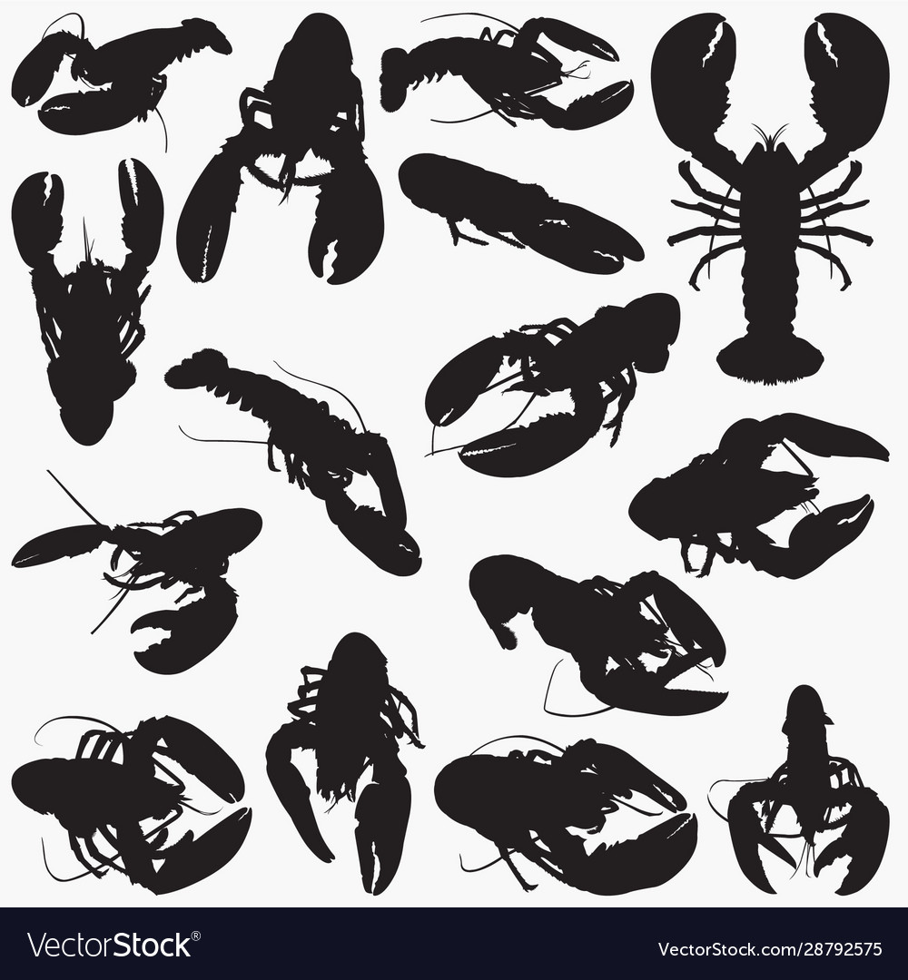 Lobster silhouettes Royalty Free Vector Image - VectorStock