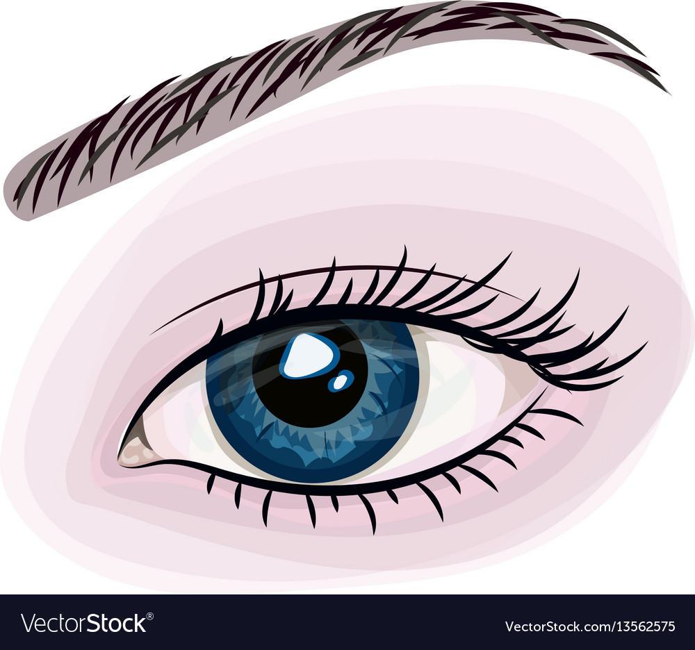 Woman beautiful blue eye Royalty Free Vector Image