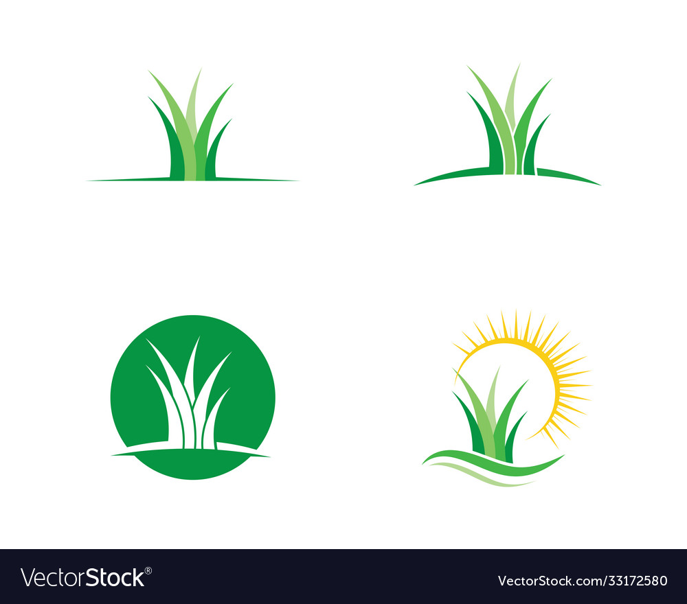 Green grass Royalty Free Vector Image - VectorStock