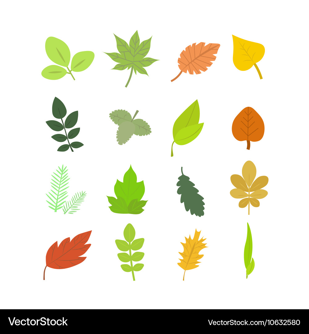 Summer and autumn leaves set Royalty Free Vector Image