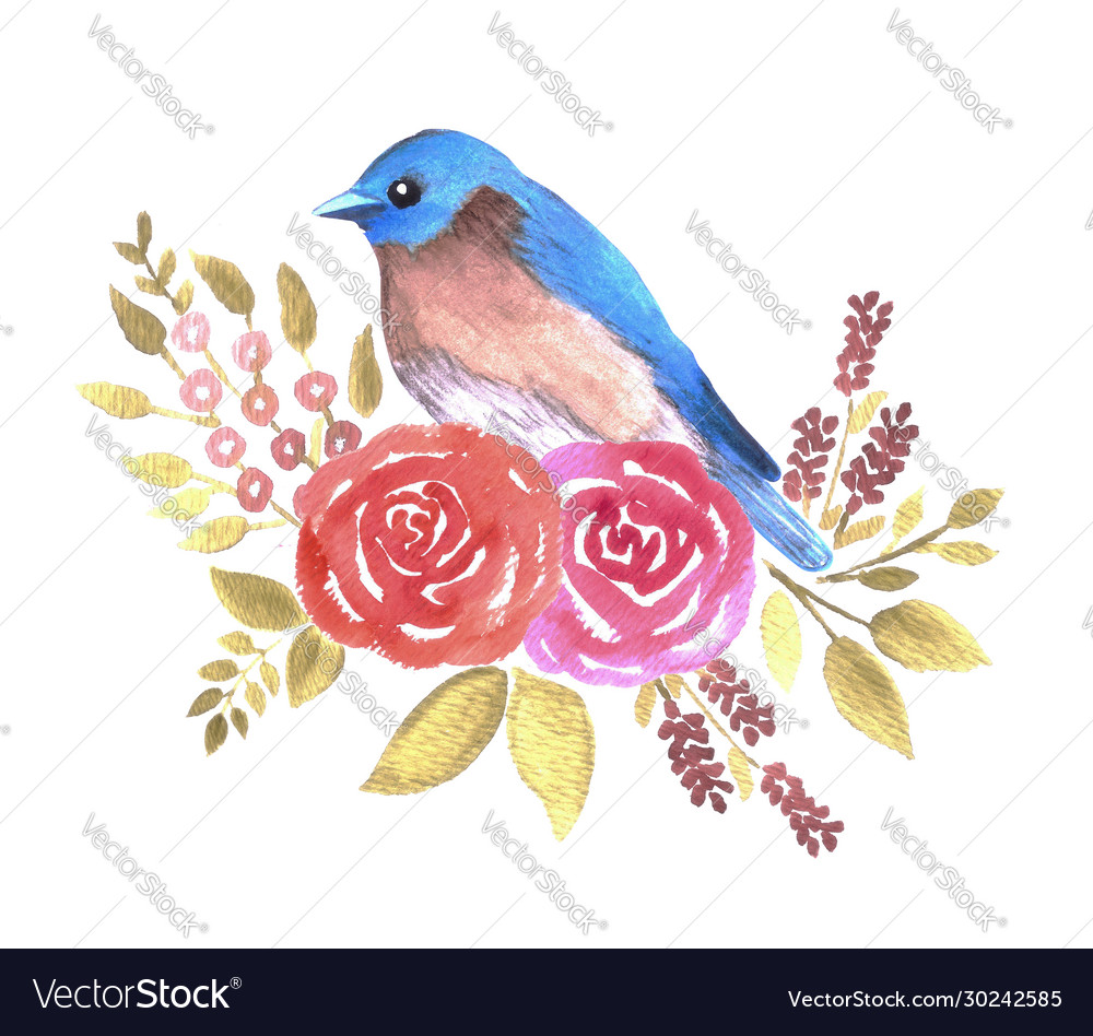 Eastern bluebird or sialia sialis bird on red Vector Image
