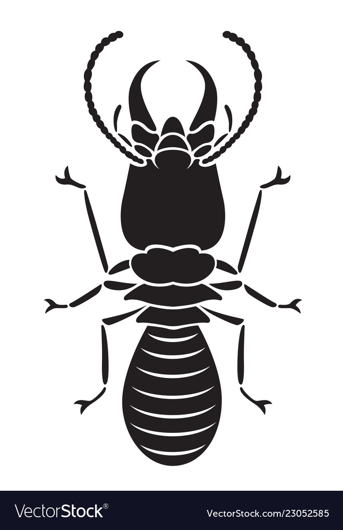 Graphic termite Royalty Free Vector Image - VectorStock