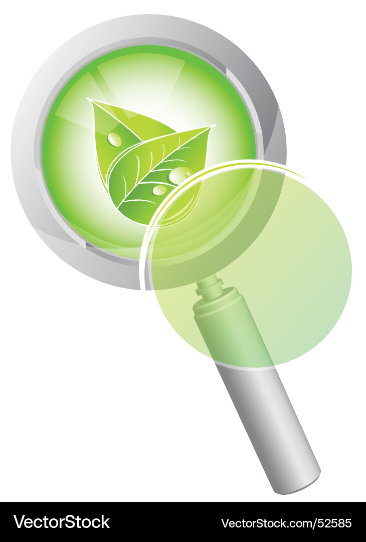 Leaf Royalty Free Vector Image - VectorStock