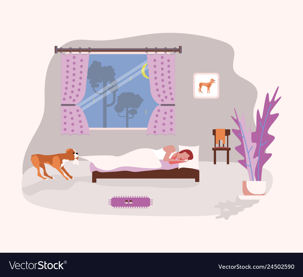 Why Does My Dog Carry His Blanket Around