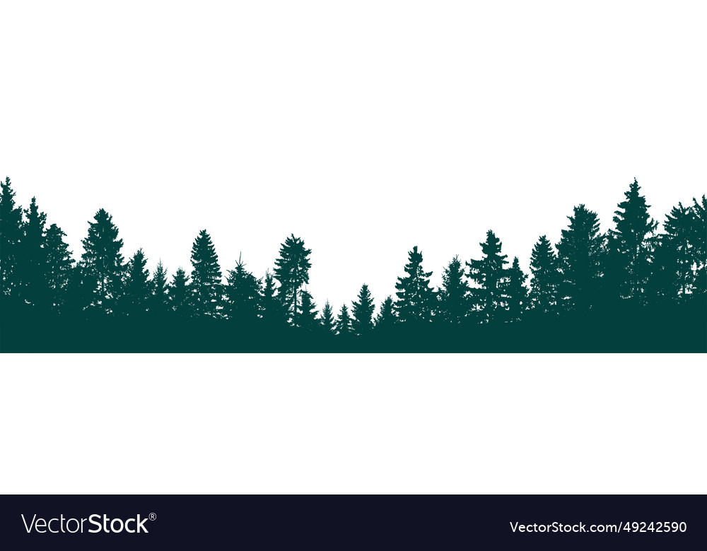 Beautiful forest silhouette coniferous trees Vector Image