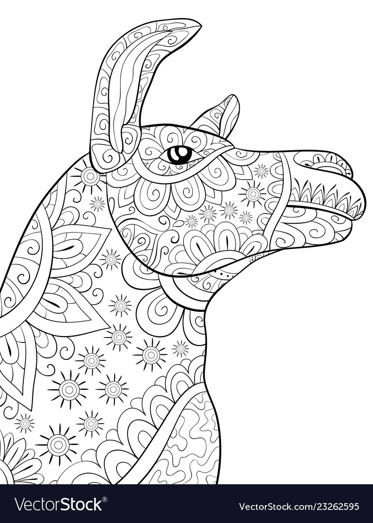 Adult coloring bookpage a cute head of lama image Vector Image