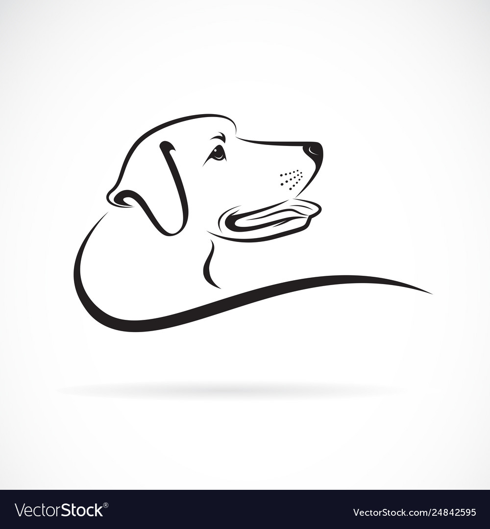 Vector of a dog head(Labrador Retriever) and cat head design on white  background. Cat and dog logo or icon. Pet. Animals. Easy editable layered  vector illustration., Stock vector