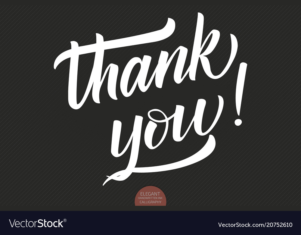 Hand drawn lettering thank you elegant Royalty Free Vector