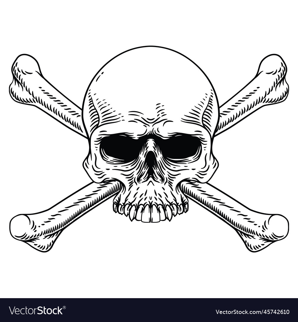 Skull and crossbones sign in a woodblock or cut Vector Image