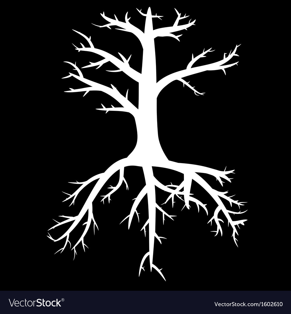 Trees with dead branches and roots Royalty Free Vector Image