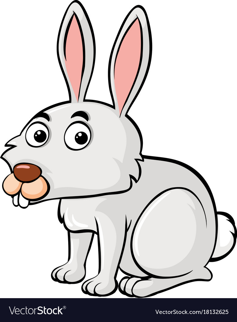 White bunny on background Royalty Free Vector Image