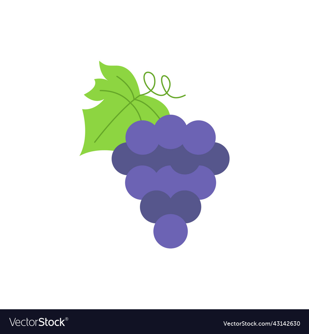 Fresh grape bunch colored icon eps 10