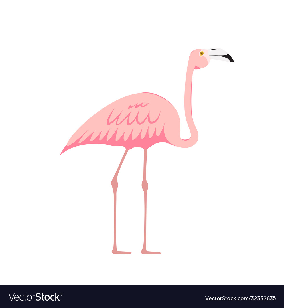 Bunte rosa dekorative Flamingo isoliert