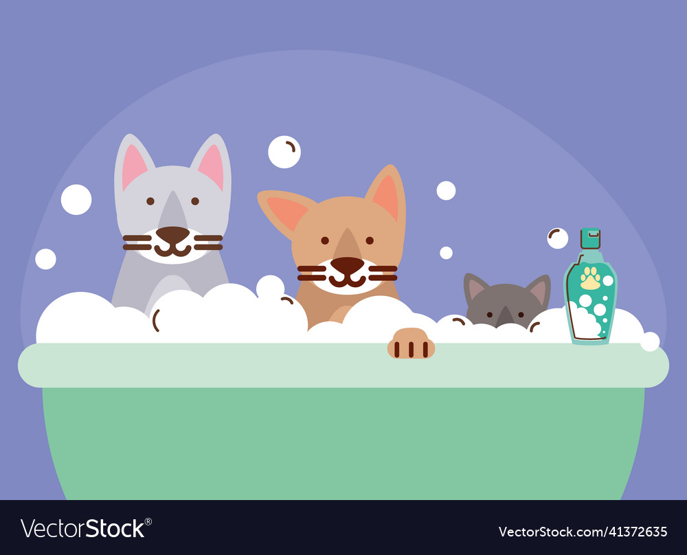 Pets Cats In Bathtub Royalty Free Vector Image