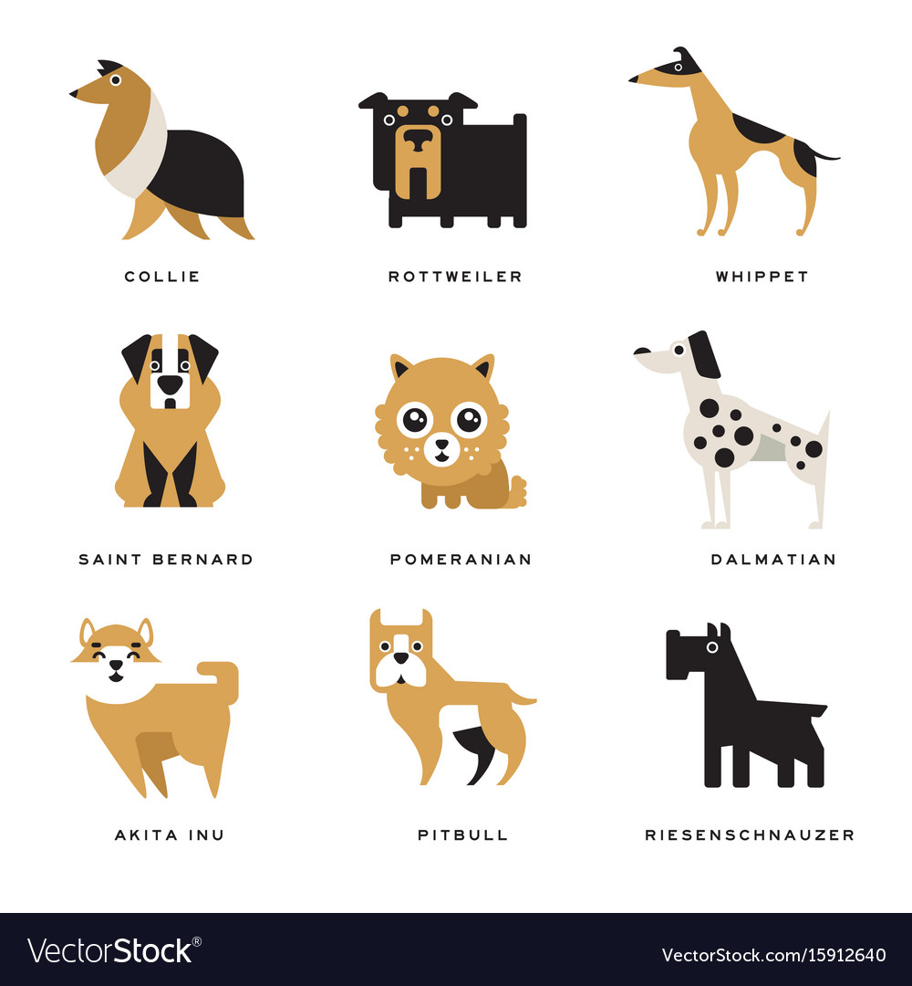 Collection Of Different Dogs Breeds Characters And